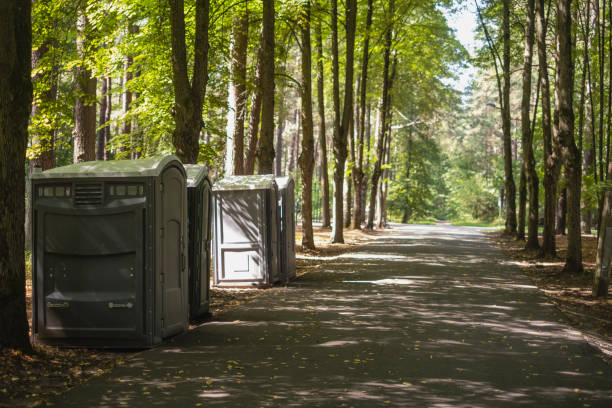 Best Best portable toilet rental  in Davis, OK